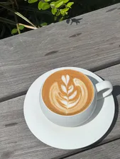 Cafe & Life - Cafe restaurant in Richmond – fine dining dishes, interior photos, and ambiance.