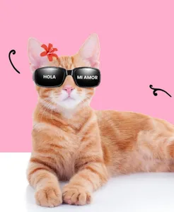 Don Tacos Richmond - Mexican restaurant in Richmond – fine dining dishes, interior photos, and ambiance.