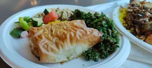 BASHA Richmond Centre - Middle Eastern restaurant in Richmond – fine dining dishes, interior photos, and ambiance.