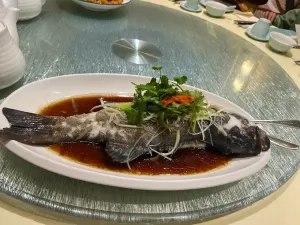 TAOTAOJU - Dim Sum restaurant in Vancouver – fine dining dishes, interior photos, and ambiance.