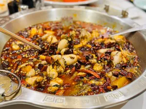 Fortune Feast - Szechuan Spicy restaurant in Richmond – fine dining dishes, interior photos, and ambiance.