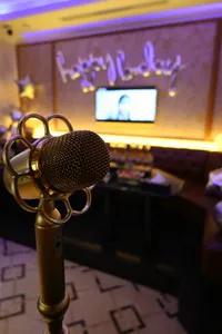 V+ Club Karaoke - KTV & Club restaurant in Richmond – fine dining dishes, interior photos, and ambiance.