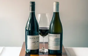 Steveston Seafood House - Seafood restaurant in Richmond – fine dining dishes, interior photos, and ambiance.