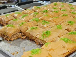 BASHA Metrotown - Middle Eastern restaurant in Burnaby – fine dining dishes, interior photos, and ambiance.