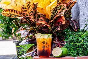 Xing Fu Tang Surrey - Bubble Tea restaurant in Surrey – fine dining dishes, interior photos, and ambiance.