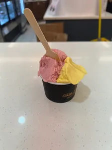 Bella Gelateria Metrotown - Dessert restaurant in Burnaby – fine dining dishes, interior photos, and ambiance.