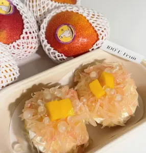Picture of dish Solid Mango Pomelo Sago 2 Pieces PERU at 100E FRUIT