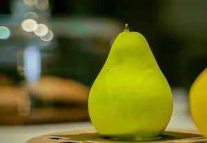 Wren cafe - Cafe restaurant in Downtown Vancouver – fine dining dishes, interior photos, and ambiance.