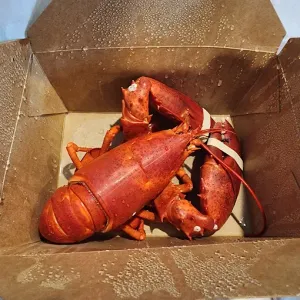 The Lobster Man Food - North American restaurant in Downtown Vancouver – fine dining dishes, interior photos, and ambiance.
