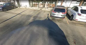 Shanghai Taste - Chinese restaurant in Richmond – fine dining dishes, interior photos, and ambiance.