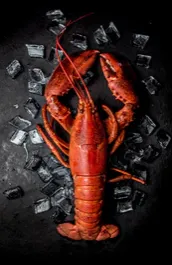 The Lobster Man Food - North American restaurant in Downtown Vancouver – fine dining dishes, interior photos, and ambiance.