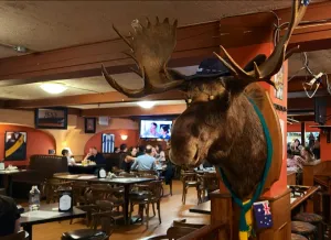 Moose's Down Under Bar and Grill - Brewery & Pubs restaurant in Downtown Vancouver – fine dining dishes, interior photos, and ambiance.