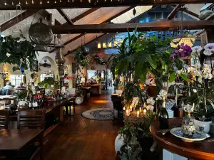 Vassilis souvlaki greek taverna - European restaurant in Burnaby – fine dining dishes, interior photos, and ambiance.