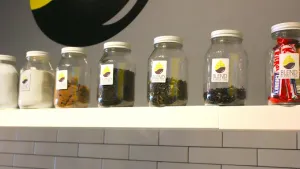 Blend Bubble Tea - Bubble Tea restaurant – fine dining dishes, interior photos, and ambiance.