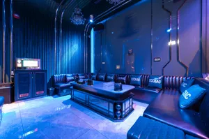 Zodiac Karaoke and Pub KTV - KTV & Club restaurant in Richmond – fine dining dishes, interior photos, and ambiance.