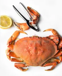 The Lobster Man Food - North American restaurant in Downtown Vancouver – fine dining dishes, interior photos, and ambiance.