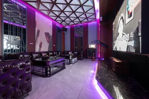 Zodiac Karaoke and Pub KTV - KTV & Club restaurant in Richmond – fine dining dishes, interior photos, and ambiance.