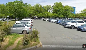 Grains Fish Noodle Lansdowne - Chinese restaurant in Richmond – fine dining dishes, interior photos, and ambiance.