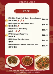 Beyond Plus Beyond BBQ - Szechuan Spicy restaurant in Vancouver – fine dining dishes, interior photos, and ambiance.