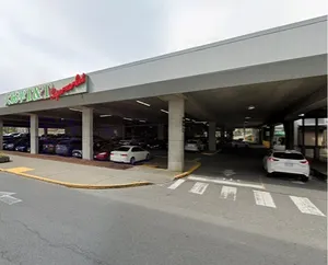 Xing Fu Tang Surrey - Bubble Tea restaurant in Surrey – fine dining dishes, interior photos, and ambiance.