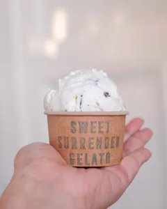 Sweet Surrender Gelato - Bubble Tea restaurant in Richmond – fine dining dishes, interior photos, and ambiance.