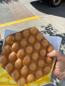 Egg Lab - Chinese restaurant in Richmond – fine dining dishes, interior photos, and ambiance.