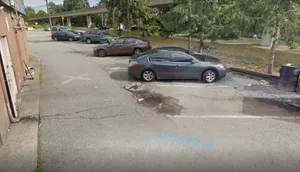 Alvin Garden - Chinese restaurant in Burnaby – fine dining dishes, interior photos, and ambiance.