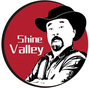 Shine Valley - Logo